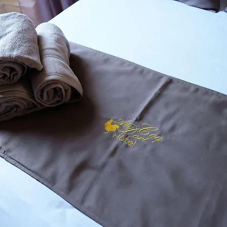 Au Coq Dort Hotel 3*